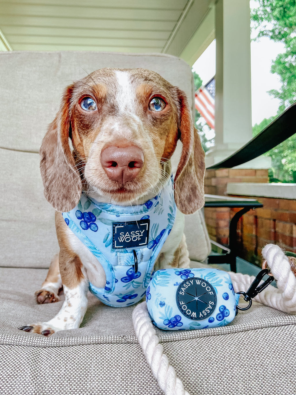 Dog Adjustable Harness - Berry Sassy