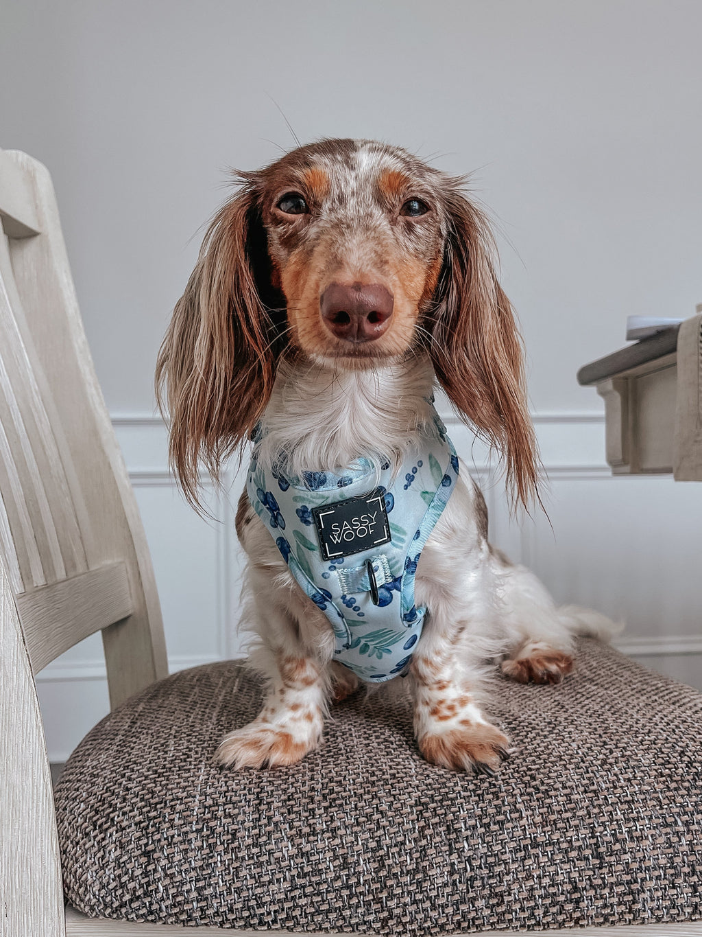 Dog Adjustable Harness - Berry Sassy