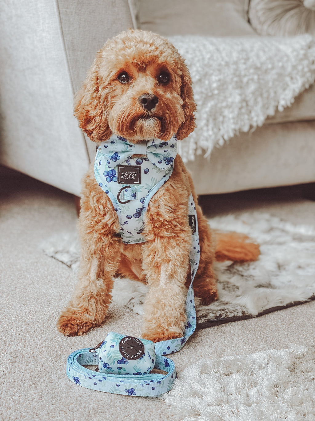 Dog Adjustable Harness - Berry Sassy