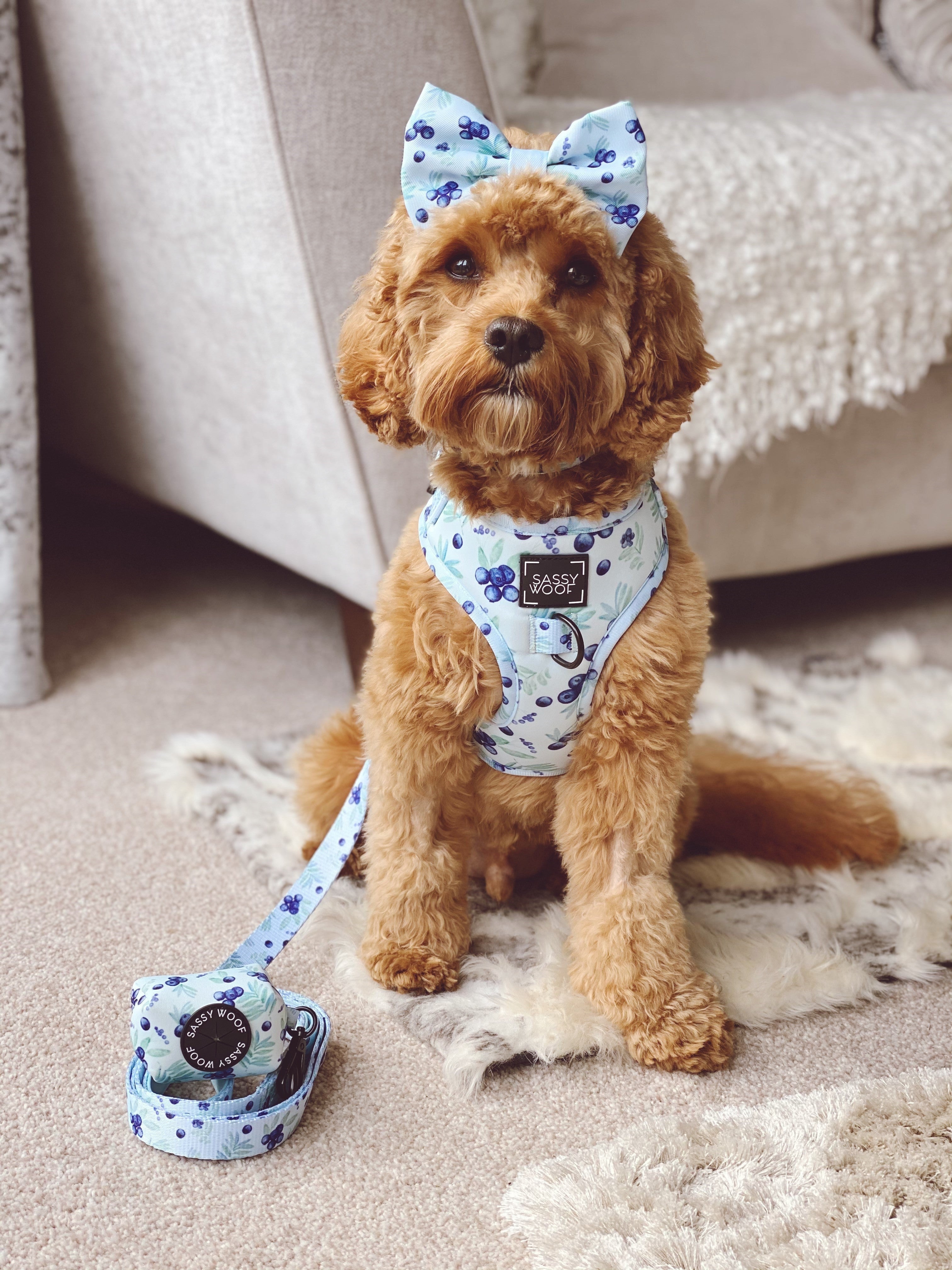 Dog Adjustable Harness - Berry Sassy